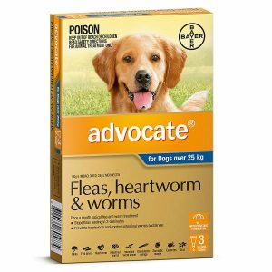 Advocate, Dogs Over 25 kg  |   Dog Flea & Worming Dog Dog Flea & Worming