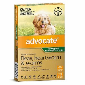 Advocate Dogs Up To 4 kg  |   Dog Flea & Worming Dog Dog Flea & Worming