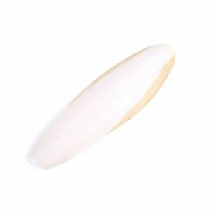 Bird Treat – Cuttlebone Large Natural  |   Bird Food Bird Bird Food