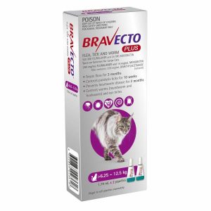 Bravecto Plus Large 6.25 To 12.5kg  |   Cat Health Cat Health Cat Health