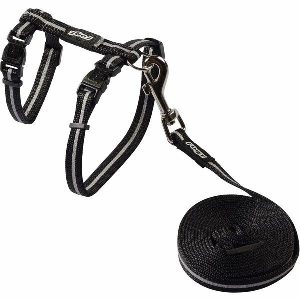 Cat Harness & Lead Alleycat Black  |   Cat Harness Cat Harness Cat Harness