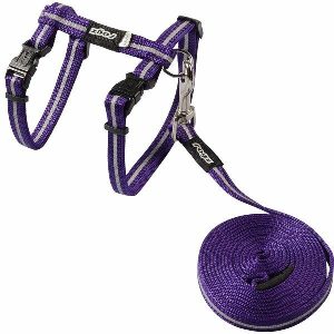 Cat Harness & Lead Alleycat Purple  |   Cat Harness Cat Harness Cat Harness