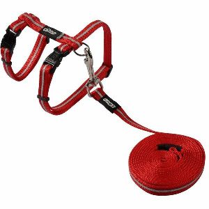 Cat Harness & Lead Alleycat Red  |   Cat Harness Cat Harness Cat Harness