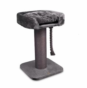 Cat Post High Bed Design Charcoal  |   Cat Scratchers Cat Scratchers Cat Scratchers