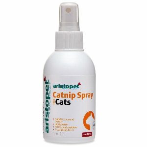 Catnip Spray For Cats  |   Cat Toys Cat Toys Cat Toys