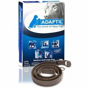 Collar For Large Dogs  |   Dog Travel Aids Dog Dog Health