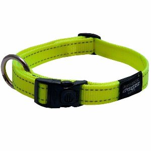 Dayglo Yellow Dog Collar  |   Dog Collars Dog Dog Collars