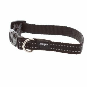 Dog Collar, Utility Black  |   Dog Collars Dog Dog Collars