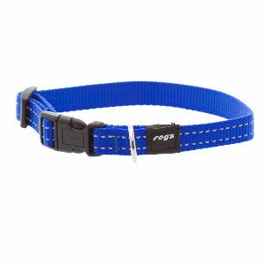 Dog Collar, Utility Blue  |   Dog Collars Dog Dog Collars