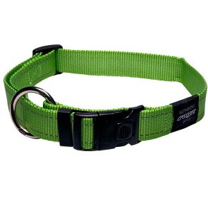 Dog Collar Utility Lime  |   Dog Collars Dog Dog Collars