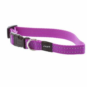 Dog Collar, Utility Purple  |   Dog Collars Dog Dog Collars