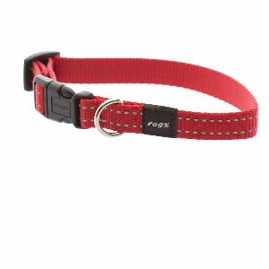 Dog Collar, Utility Red  |   Dog Collars Dog Dog Collars