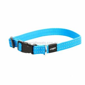 Dog Collar, Utility Turquoise  |   Dog Collars Dog Dog Collars