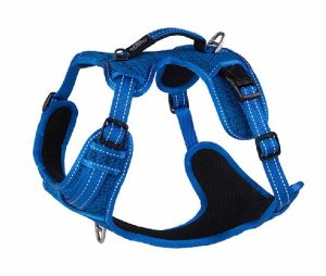 Explore Dog Harness Blue  |   Dog Harnesses Dog Dog Harnesses