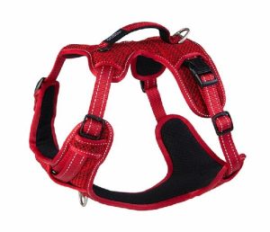 Explore Dog Harness Red  |   Dog Harnesses Dog Dog Harnesses