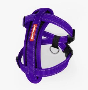 Ezydog Chest Plate Harness Purple  |   Dog Harnesses Dog Dog Harnesses