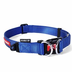 Ezydog Collar Double Up Blue  |   Dog Collars Dog Dog Collars