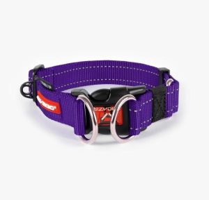 Ezydog Double-Up Collar Purple  |   Dog Collars Dog Dog Collars