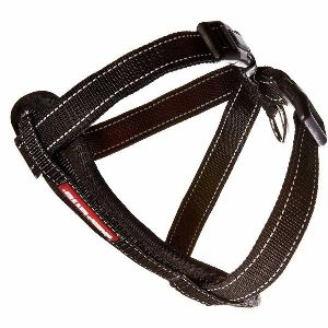 Ezydog Harness, Black  |   Dog Harnesses Dog Dog Harnesses