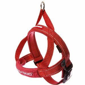 Ezydog Harness Quick-Fit, Red  |   Dog Harnesses Dog Dog Harnesses