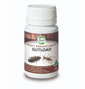 Gutload  |   Reptile Food Reptile Reptile Food