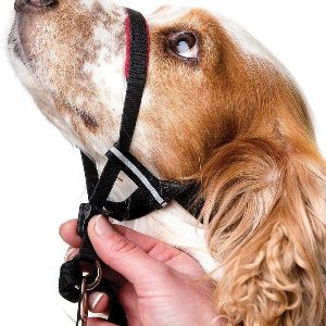 Halti Opti Fit Head Collar  |   Dog Collars Dog Dog Collars