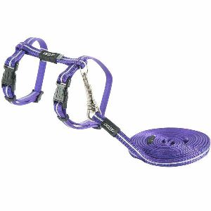 Harness And Lead Set Purple For Cats  |   Cat Harness Cat Harness Cat Harness