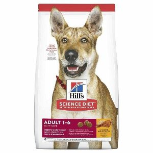 Hills Dog Food, Canine Adult  |   Dog Food Dog Dog Food