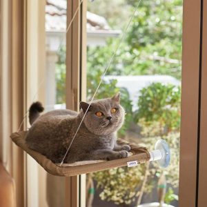 Kazoo Lookout Window Deluxe  |   Cat Beds Cat Beds Cat Beds