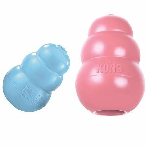 Kong, Puppy  |   Dog Toys Dog Dog Toys