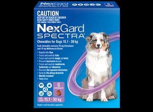 Nexgard Spectra 15.1>30kg  |   Dog Flea & Worming Dog Dog Flea & Worming