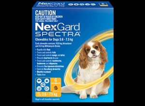 Nexgard Spectra 3.6>7.5kg  |   Dog Flea & Worming Dog Dog Flea & Worming