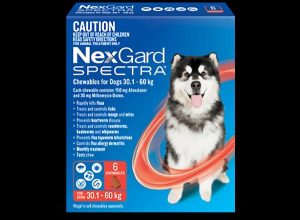 Nexgard Spectra 30.1>60kg  |   Dog Flea & Worming Dog Dog Flea & Worming