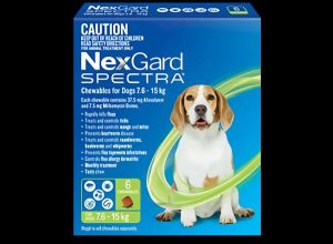 Nexgard Spectra 7.6>15kg  |   Dog Flea & Worming Dog Dog Flea & Worming