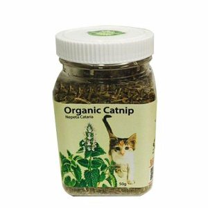 Organic Catnip For Cats  |   Cat Health Cat Health Cat Health