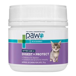 Paw Digest Protect Kitten Care  |   Cat Health Cat Health Cat Health