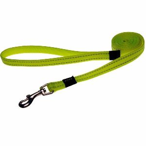 Reflective Dayglow Dog Lead  |   Dog Leads Dog Dog Leads