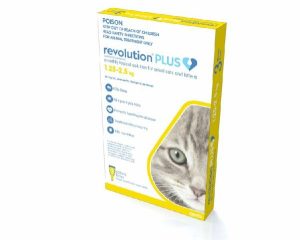 Revolution Plus For Small Cats & Kittens 1.25 – 2.5kg  |   Cat Health Cat Health Cat Health