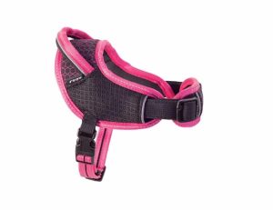 Rogz Airtech Sport Harness Sunset Pink  |   Dog Harnesses Dog Dog Harnesses