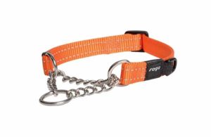 Rogz Control Obedience Collar Orange  |   Dog Collars Dog Dog Collars