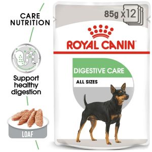 Royal Canin Canine Digestive Wet Food  |   Dog Food Dog Dog Food