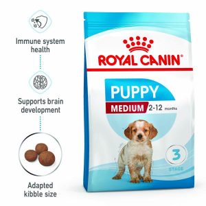 Royal Canin Dog Medium Puppy  |   Dog Food Dog Dog Food