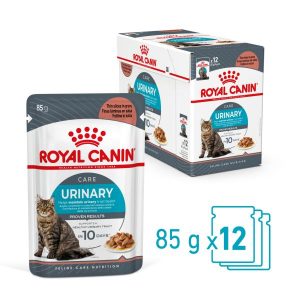 Royal Canin Feline Gravy Urinary Care Box  |   Cat Food Cat Food Cat Food