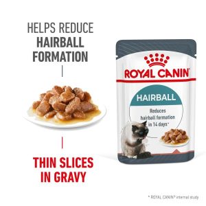 Royal Canin Feline Hairball Care 85G  |   Cat Food Cat Food Cat Food