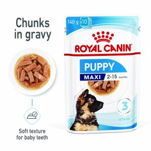 Royal Canin Maxi Puppy Wet Food  |   Dog Food Dog Dog Food