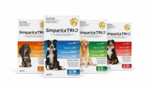 Simparica Trio 6 Chews  |   Dog Flea & Worming Dog Dog Flea & Worming