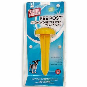 Simple Pee Post Yard Stake  |   Dog Training Dog Dog Outdoors