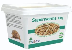 Superworms Tub  |   Reptile Food Reptile Reptile Food