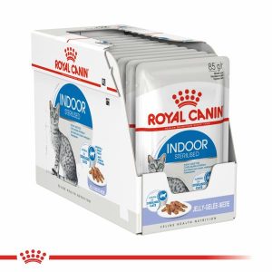 Royal Canin Feline Indoor Jelly Box  |   Cat Food Cat Food Cat Food